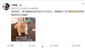 上位by萝卜兔子简介 抖音网红黑料,黑料背后的真相